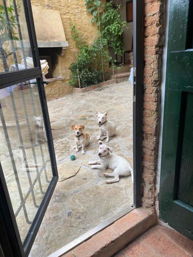 Campora House