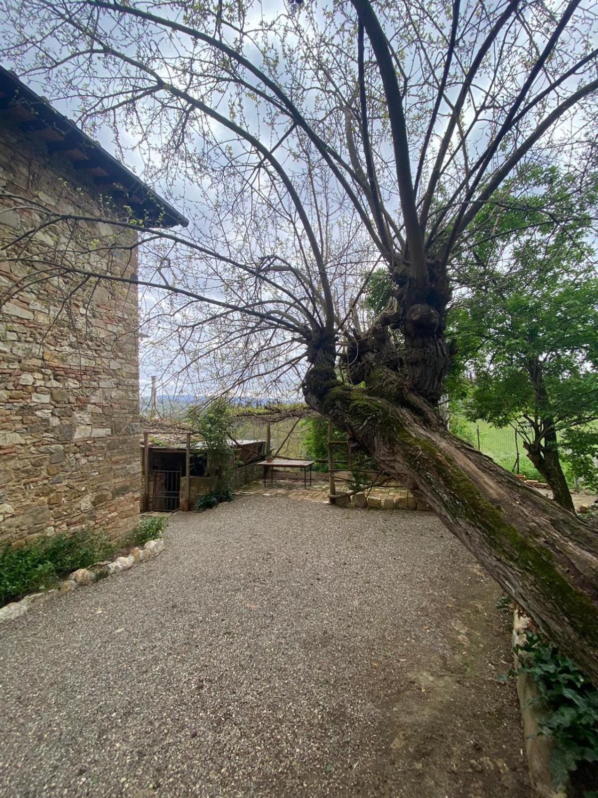 Gasthof Campora House
